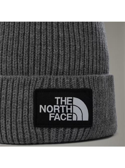 tnf logo box THE NORTH FACE | NF0A3FJXDYY1